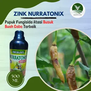 Terlaris Pupuk busuk buah cabe terbaik - ZINK NURRATONIX - OBAT SEMPROT Busuk cabe,cengek,cabai ijo terampuh