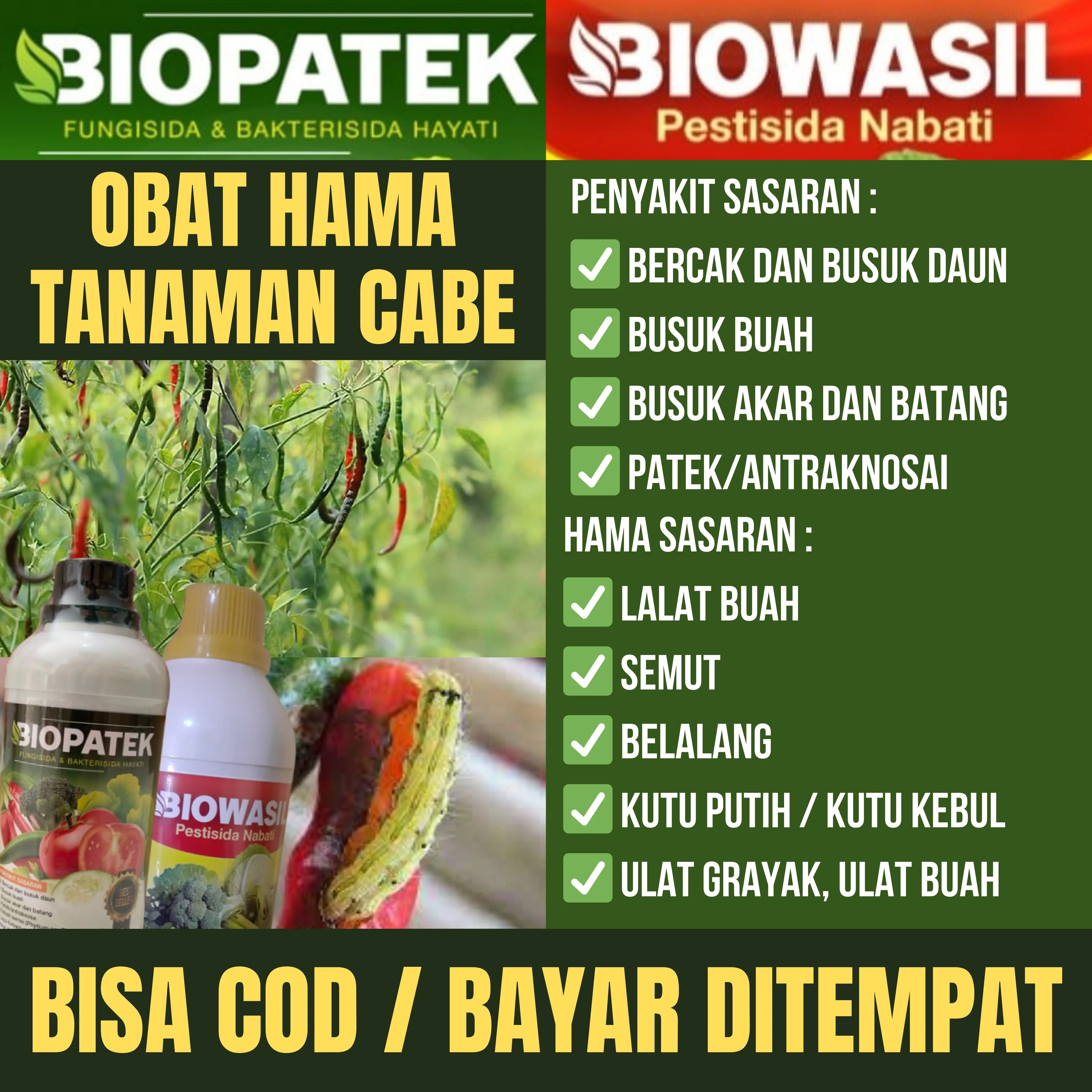 PAKET HEMAT 2 BOTOL FUNGISIDA DAN PESTISIDA NABATI BIOPATEK & BIOWASIL Obat Bercak Daun dan Busuk Buah, Busuk akar dan Batang, Patek/antraknosa, Layu fursarium Buah Cabe, Tomat, Brokoli, Kacang, Kentang, Mangga dll