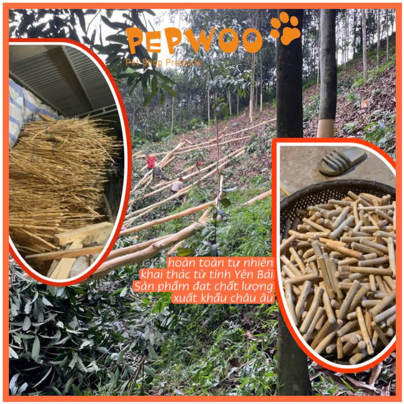 Thanh Xương Chó Gặm Gỗ Quế Size SM PEPWOO 100% Tự Nhiên | MADE IN VIETNAM 2