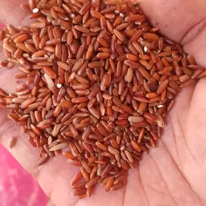 Beras Merah Berlian Kwalitas Premium Rice Food Diet - Pilihan Terbaik untuk Kesehatan Jantung dan Diabetes Goreng Gluten Pink Porang