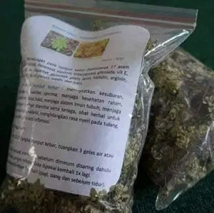 rumput kebar pco sel telur kecil2