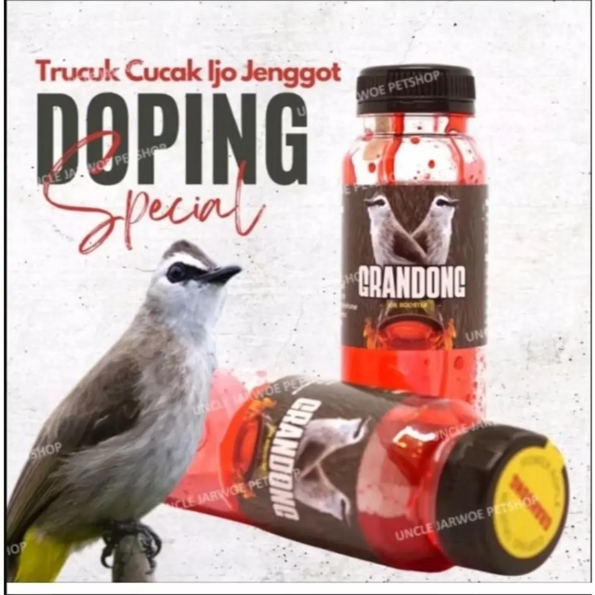 GRANDONG Doping Burung Trucukan Cucak Ijo Jenggot Kapas Tembak Ropel Cepat gacor
