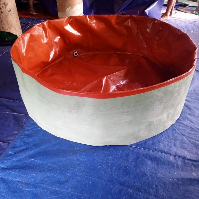Kolam Terpal Bulat Tanpa Rangka Diameter 150cm /1, 5m tinggi 45cm Untuk Budidaya Ikan Lele Nila Gurame gabus udang Belut Dll 7