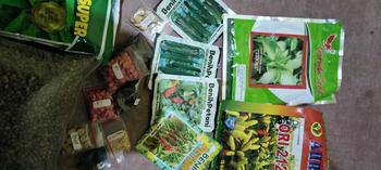 Product Review of 10 Benih sayur gambas Oyong from A**o 1