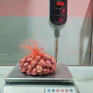 (Timbangan Digital) Ukuran 1 Kg Bamer Sedang