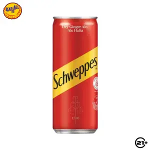 SCHWEPPES DRY GINGER ALE CAN 250ml
