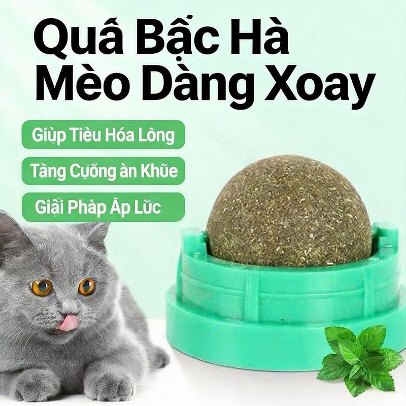 Quả bạc hà xoay 360 độ cho mèo Đồ chơi cắn nhai giúp tiêu hóa lông, làm sạch răng & giảm căng thẳng hiệu quả