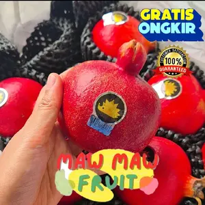BUAH DELIMA IMPOR | Mawmaw.fruit | Pome
