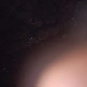 premium green natural bracelet