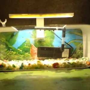 lampu led aquarium mini 5volt model jepit,soliter,pencahayaan optimal,banyak pilihan warna ,ukuran jumlah mata,aquarium aquascape.