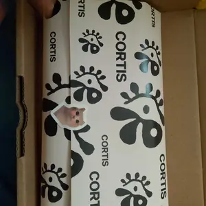 CORTIS Fan Kit Kpop merch photo card cortis All in