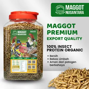 Maggot BSF Kering 1/2KG Premium Non Limbah - Pakan Suplemen Hewan Alami Bersih Bebas Limbah dari MAGGOT NUSANTARA