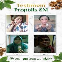 Gambar Propolis SM Telinga Congek, Telinga Bernanahm Telinga Berair, Telinga Gatal Iritasi, Telinga Berdenging, Telinga Tersumbat 6 ml dari Iklan Herbal Shop Kota Administrasi Jakarta Selatan 4 Tokopedia
