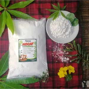 TEPUNG MOCAF GLUTEN FREE 1KG SAGOSAN BAHAN PANGAN MODIFIED CASSAVA FLOUR