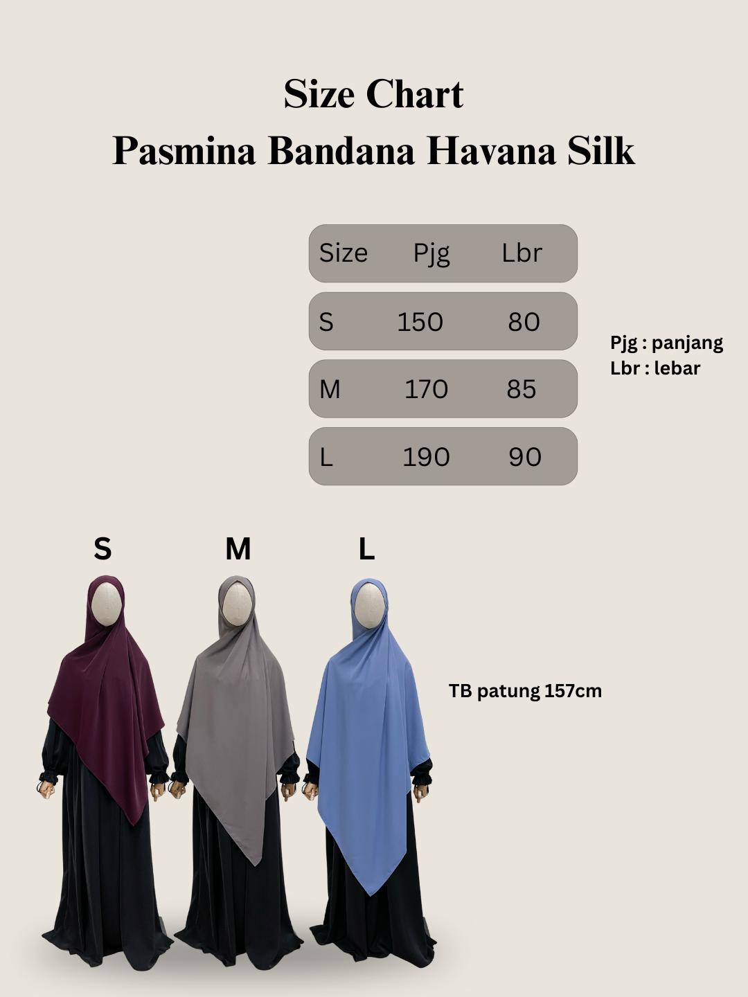 PASHMINA BANDANA RITS BASIC POLOS HAVANA SILK FREE CADAR TALI  BY ZURILABEL