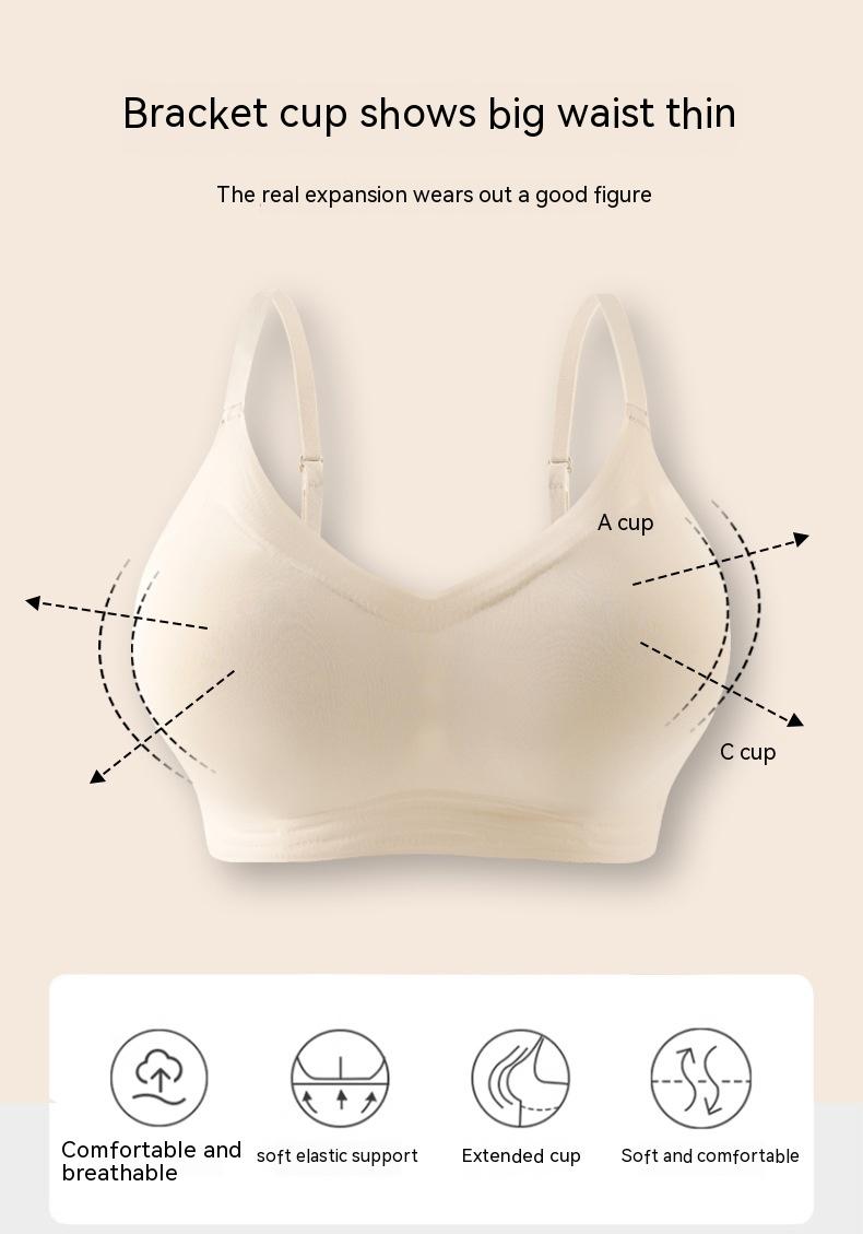 Product Introduction of Expansion cartoon breasts small breasts show large comfortable non-marking underwear female thickened cup pads breathable non-steel ring gathered bra 1