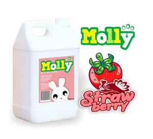 Molly Parfum kucing lembut aroma Strawberry kemasan 5 liter extract lidah buaya