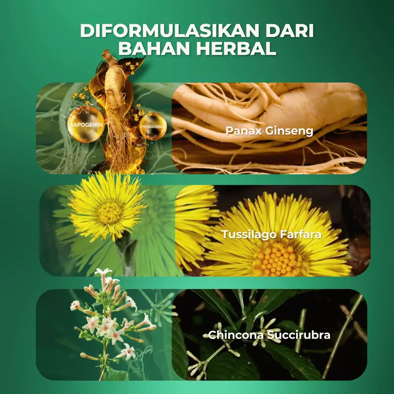 AHE Hair Fall Treatment Shampoo Hair Care Anti Hair Loss Oil Control Anti Dandruff Shampoo Anti Rontok Shampoo Anti Ketombe with Keratine and Zinc 300ML 3