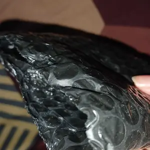 Cassiel Pet Obat Tetes Telinga Kucing Anti Peradangan Saluran Telinga Anti Earmites Conge Gatal Dan Infeksi Obat Pembersih Kotoran Telinga Kucing Anjing obat telinga kucing jamuran