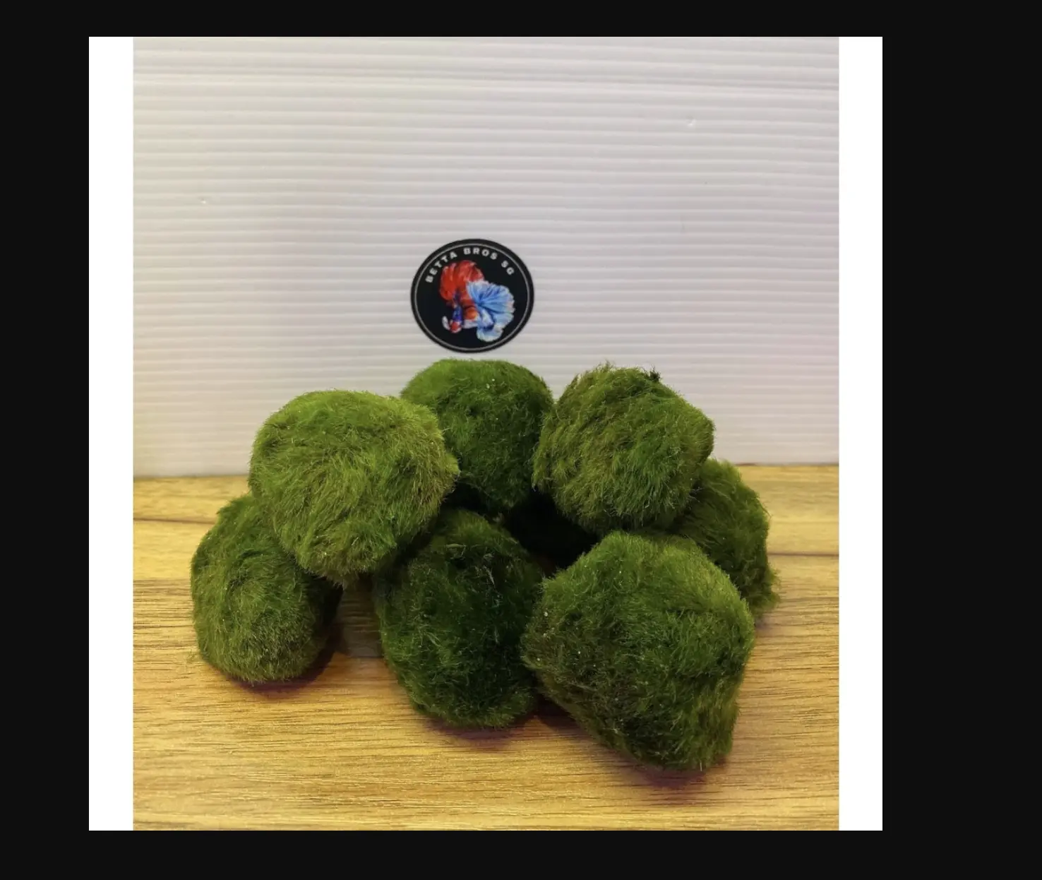 Betta Bros - Marimo Moss Ball