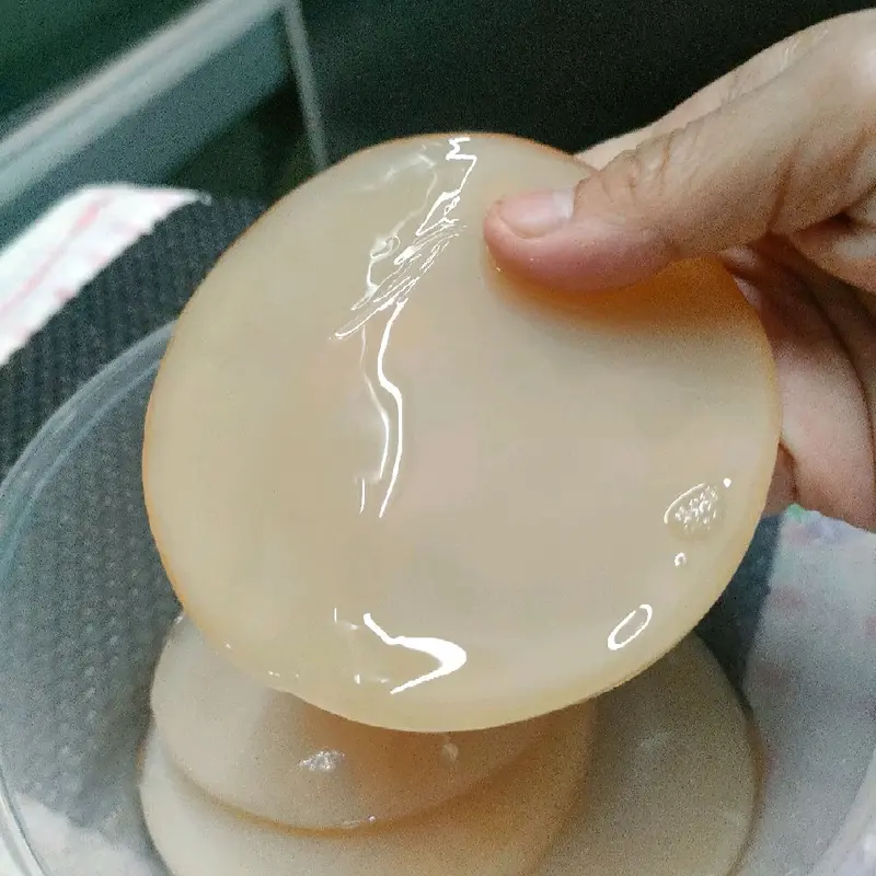 Scoby fermentasi kombucha diameter 8 cm, tebal 0,5 cm, lengkap dgn starter 200 ml 3