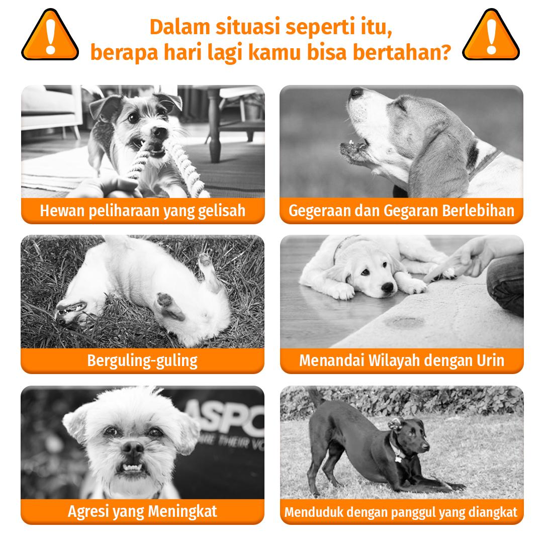 Cassiel Pet Estrus Suppressant Tablets Tablet Penekan Estrus Untuk Menenangkan Melolong Mengurangi Kecemasan Menenangkan Suasana Hati Anjing & Kucing