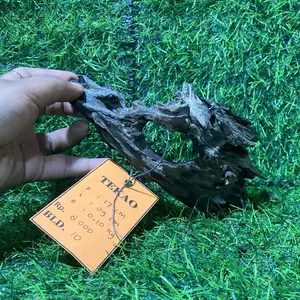 Dragon Wood Berkarakter - Dekorasi Rumah dengan Aksen Alami dan Unik Cakep Berkarakter untuk Interior Anda