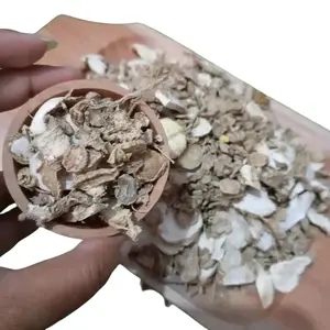 GIS // Rempah Kunci Pepet kering 100g Rempah kering