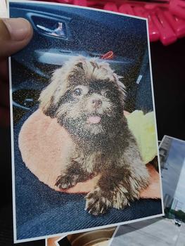 Product Review of PHOTO PRINT 2R/3R/4R/5R/6R/8R/A4 size | Non Fading | High Quality Print | Scratch Free from H**e 0
