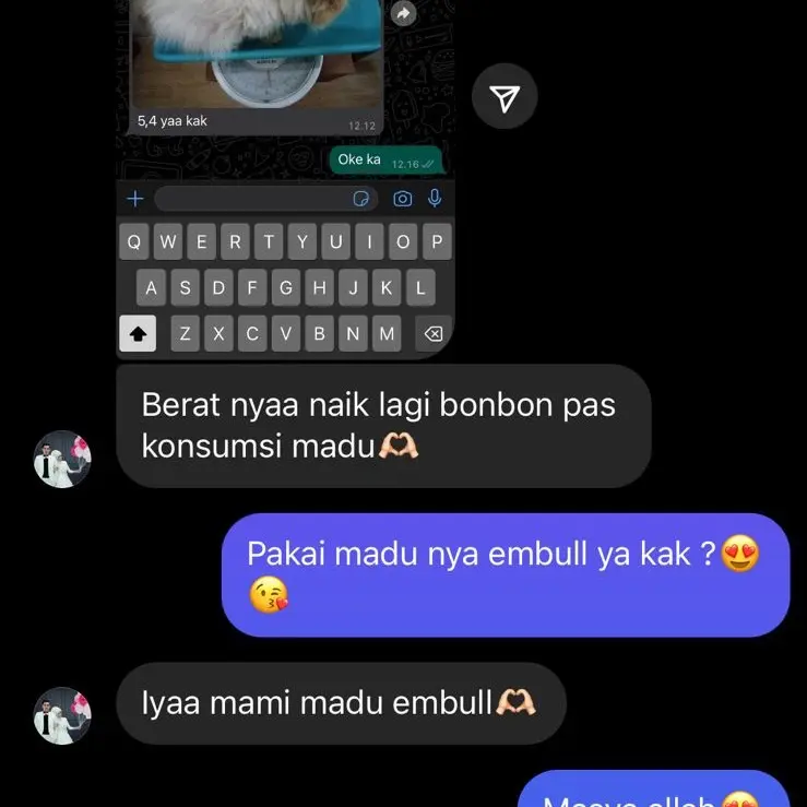 PAKET BOOSTER EMBULL ||Bulu super lebat || 90% atasi rontok || anabul sehat || kucing dan anjing || madu 4