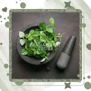 Herbal daun suruhan Sirih cina atau ketumpang air ( 1kg )