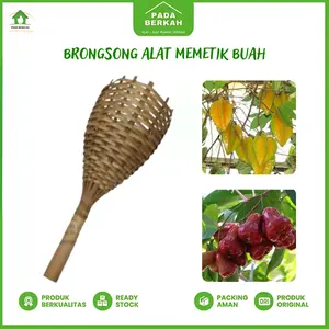 Alat Pemetik Buah Brongsong Alat Petik Buah Mudah Menggunakan Galah MURAH Bambu Kayu Pohon