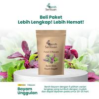 Gambar Benih Bayam Paket 5 Macam Bibit Sayuran Bayam Hijau Merah Sayur Unggul - PK 5 BAYAM dari Benih Seribuan Kab. Boyolali 2 Tokopedia