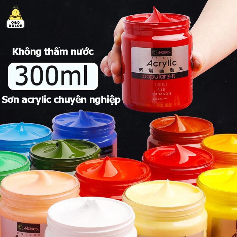 Marie‘s Sơn acrylic 300ml Đối với vải/quần áo/móng tay/vải/đá sơn không thấm nước Acrylic Paint Sắc tố bóng bảng màu bảo hành của nhà sản xuất ngẫu nhiên màu phản