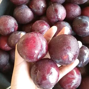 Buah plum import 300 grm..buah yang bisa mendukung anda dalam program mengecilkan perut buncit/gendut