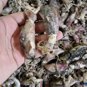 CUMI  ASIN BESAR DEWASA KERING ENAK BERSIH