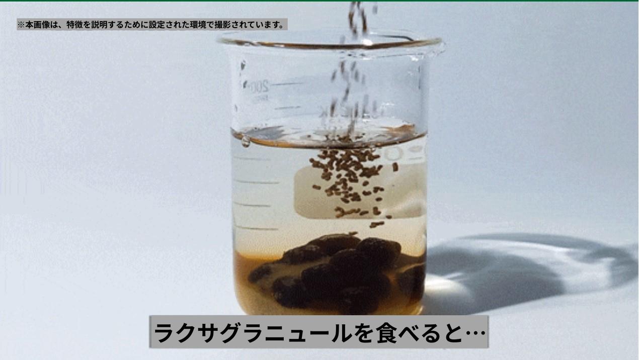 EOULLI】ラクサグラニュール3箱セット（5.5g×30包） - TikTok Shop