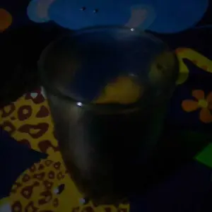 Sumpit Bambu Steril + Tusuk Gigi Higienis isi 50 Set Sumpit Makan Sushi Pangsit Mie Bakmi Bambu Panda