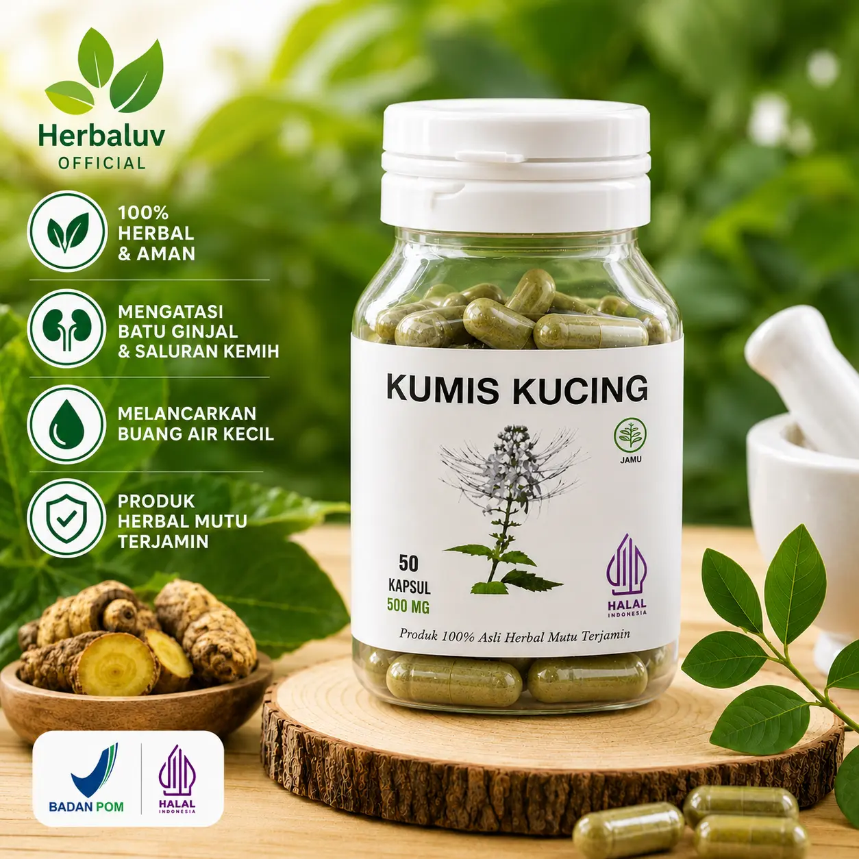 PROMO KAPSUL KUMIS KUCING 50 KAPSUL 100% ALAMI HERBALL