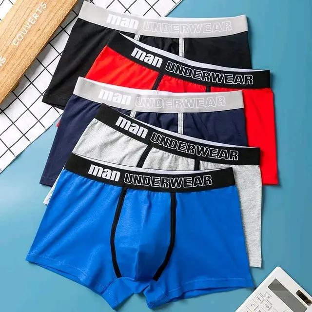 Celana Dalam Pria Dewas Isi 5Pcs