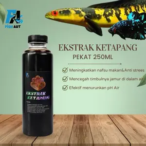 Fish Art • Ekstrak Ketapang Pekat Mempercepat Proses Mutasi Warna Ikan Cupang dan Ikan Channa | Daun Ketapang Fermentasi
