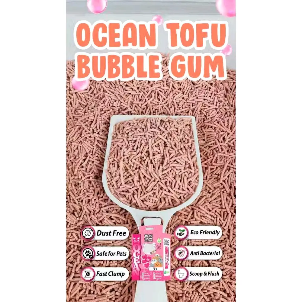 Bubble Gum