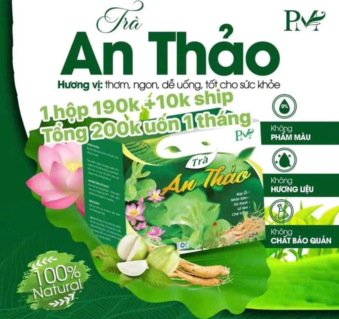 Trà an thảo-Chính hãng hộp  60  túi  trà