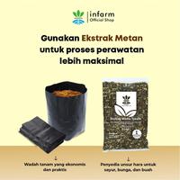 Gambar INFARM - Polybag Tanaman Paket 30 pcs - Ukuran 20x20 untuk Pot Tanaman Infarm Polibag Tanaman Polybag Ecer Berbagai Ukuran Warna Hitam Plastik Tebal Premium Persemaian Sayur Buah Bunga Hidroponik Rockwool Polybag Greenhouse Media Semai Tanaman dari Infarm Kota Surabaya 5 Tokopedia