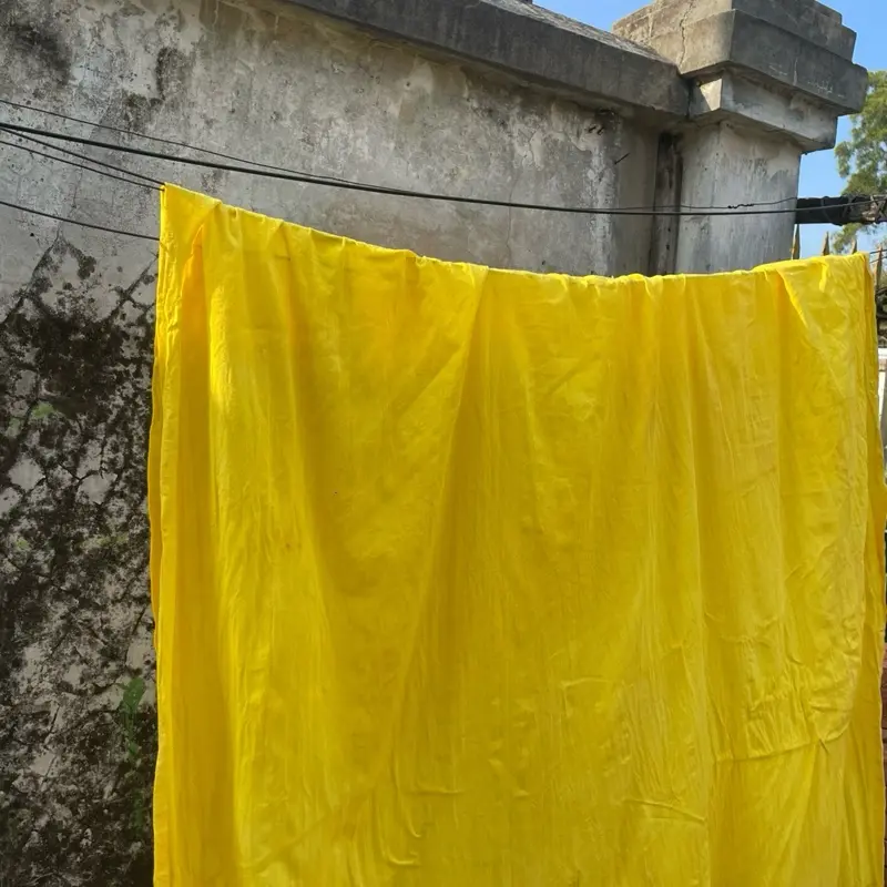 Sabuk Saudara Seasuhan PSHW-TM ,Free gelang dan stiker ( Warna kuning lemon ) 1