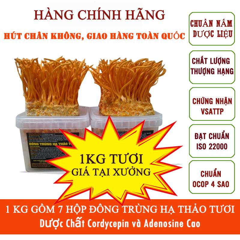 1kg 7 hộp nấm Đông trùng hạ thảo tươi hàng chính hãng vận chuyển thùng xốp và Đá khô BH 1 Đổi 1