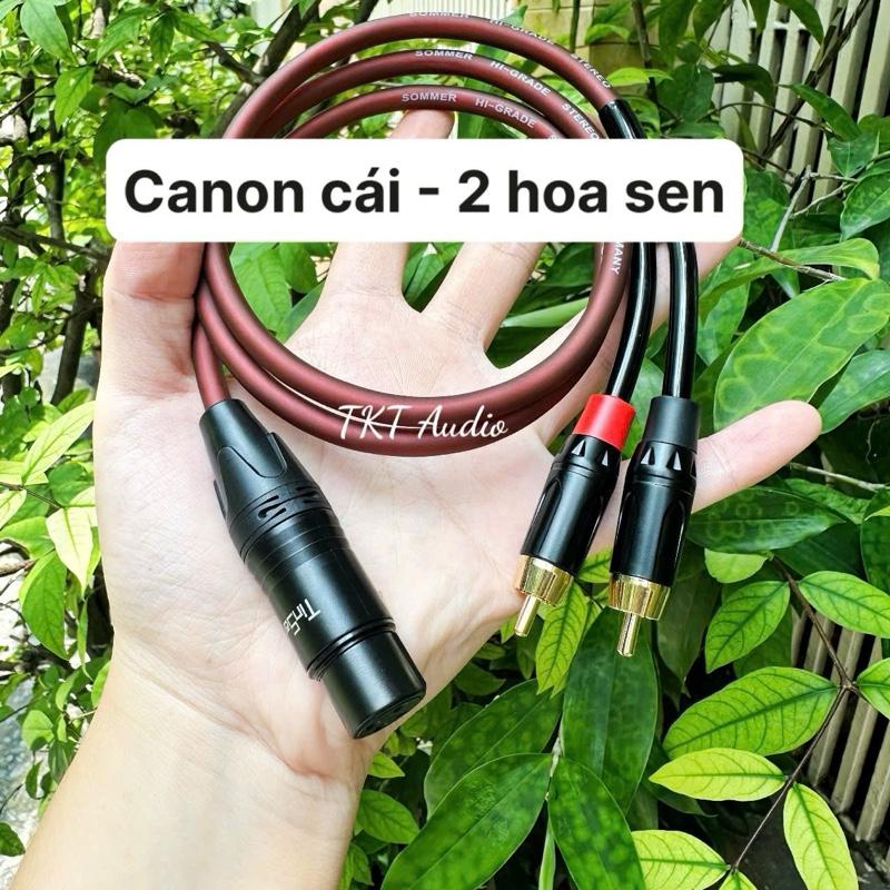 Dây jack ca.nonXLR cái 3 lỗ ra 2 hoa sen AV RCA - Phụ kiện âm thanh từ vang số ra sub điện