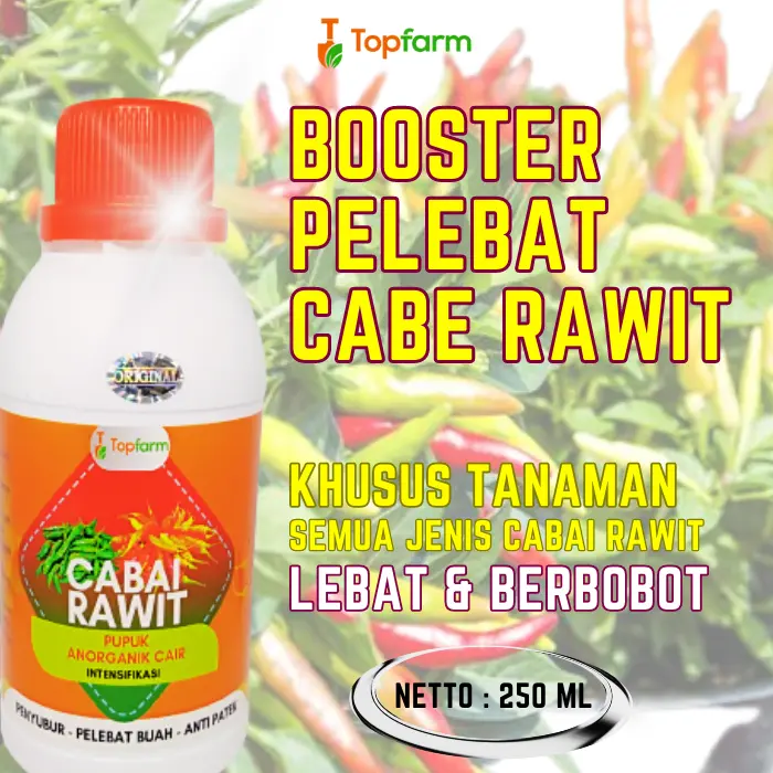Pupuk Cabe Rawit - Booster Cabe rawit / Pupuk Penyubur Tanaman Cabai / Pupuk Pelebat Buah Cabe Rawit / Pupuk Khusus Pohon Cabai / Pupuk Pembesar Cabe Rawit / Pupuk Cabai 1