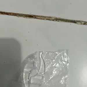 【Liuoopui】Kacamata Silikon Anti Selip Penutup Telinga Anti Jatuh Pengait Telinga Kacamata