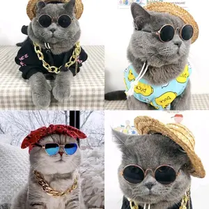 Kacamata Kucing Aksesoris Anabul Keren Stylish